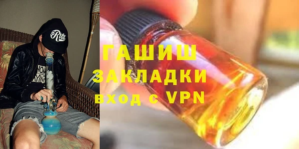 индика Медвежьегорск