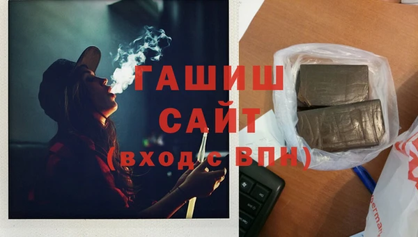 крисы Алзамай
