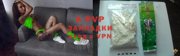 крисы Алзамай