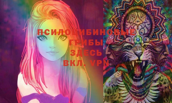 крисы Алзамай