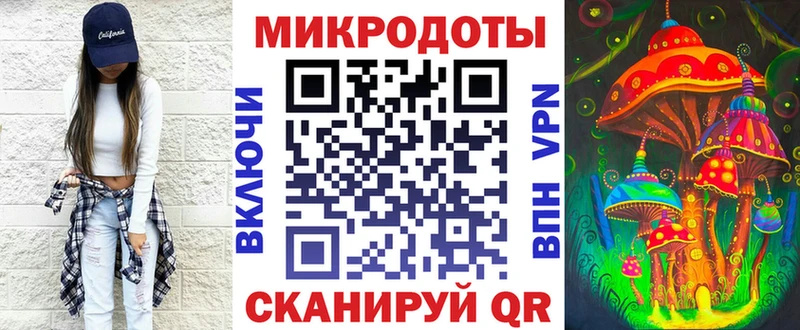 Псилоцибиновые грибы Psilocybine cubensis  ОМГ ОМГ   Славск 